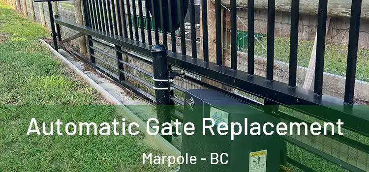 Automatic Gate Replacement Marpole - BC