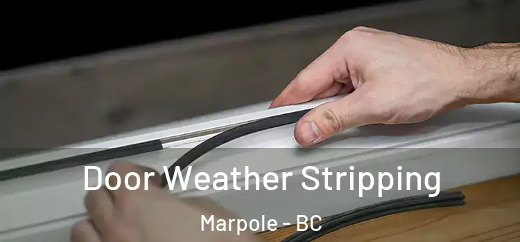 Door Weather Stripping Marpole - BC