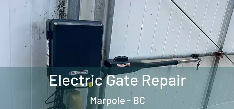 Electric Gate Repair Marpole - BC