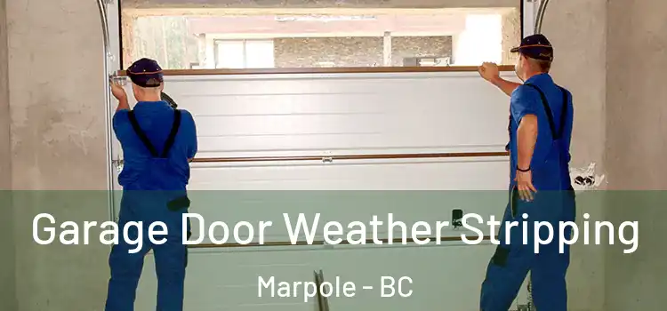  Garage Door Weather Stripping Marpole - BC