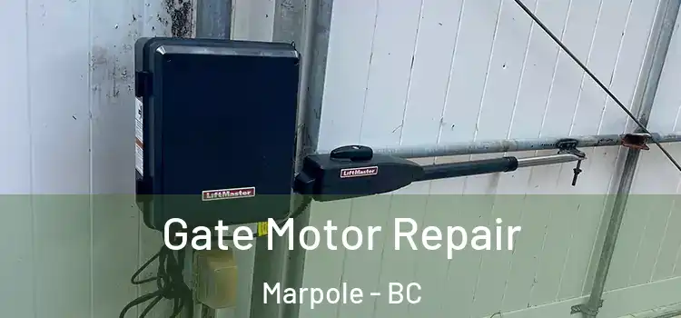 Gate Motor Repair Marpole - BC