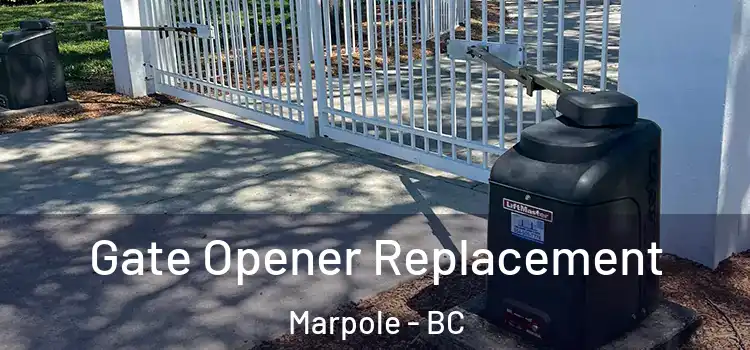 Gate Opener Replacement Marpole - BC