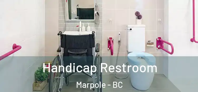 Handicap Restroom Marpole - BC