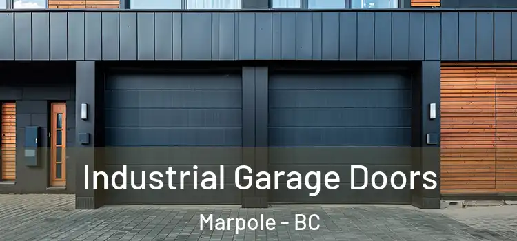  Industrial Garage Doors Marpole - BC