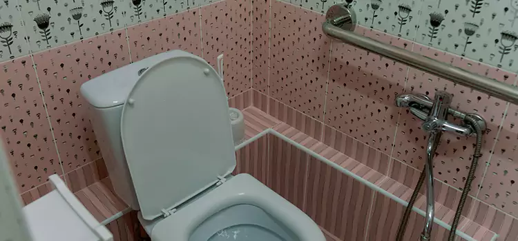 Meeting Diverse Needs With Accessible Restroom Solutions in Marpole, BC