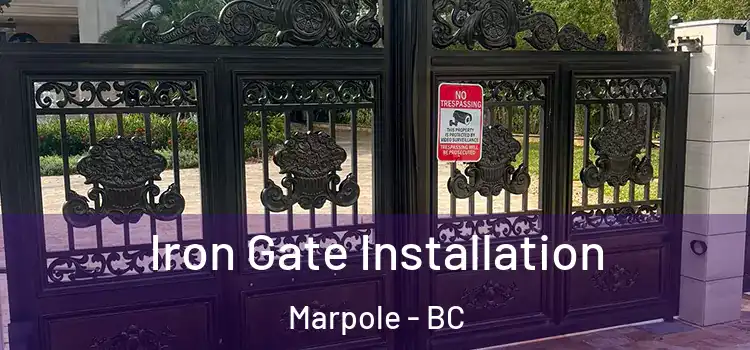 Iron Gate Installation Marpole - BC