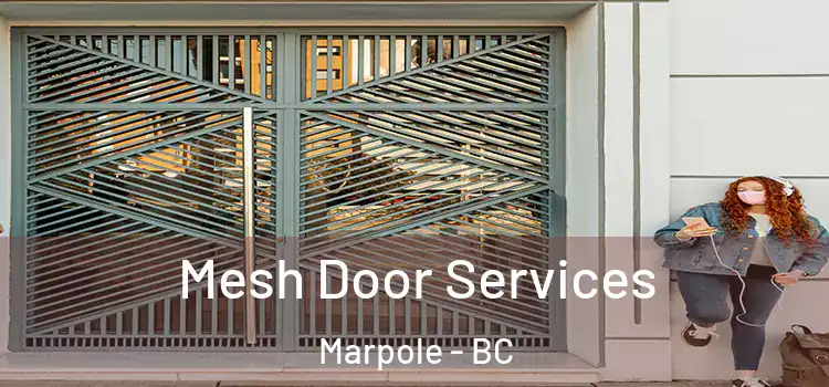 Mesh Door Services Marpole - BC