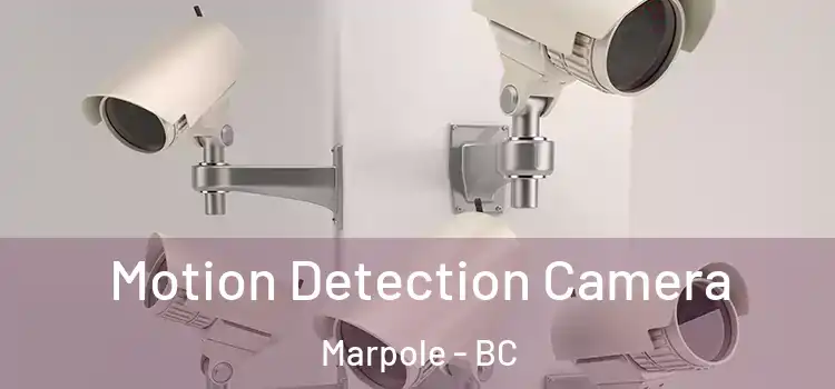  Motion Detection Camera Marpole - BC