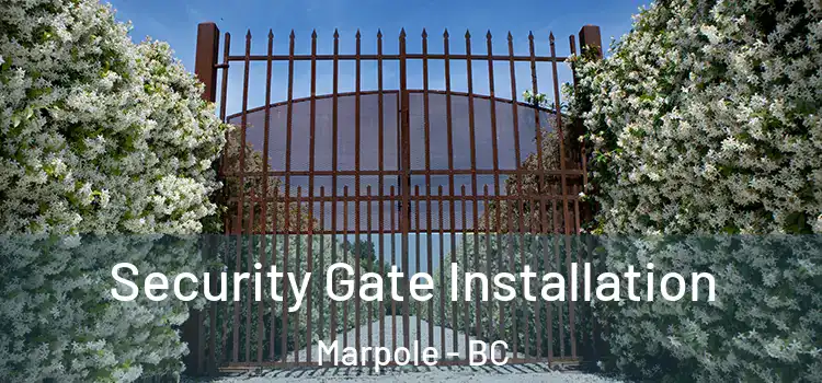 Security Gate Installation Marpole - BC