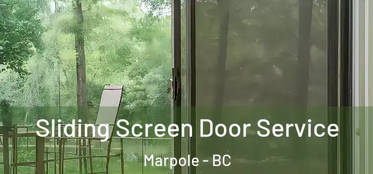 Sliding Screen Door Service Marpole - BC