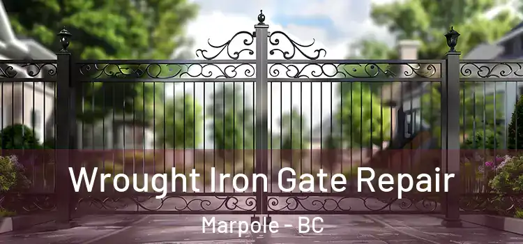 Wrought Iron Gate Repair Marpole - BC
